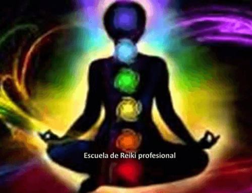 Universal de los 4 Elementos – Prithivi (Tierra)